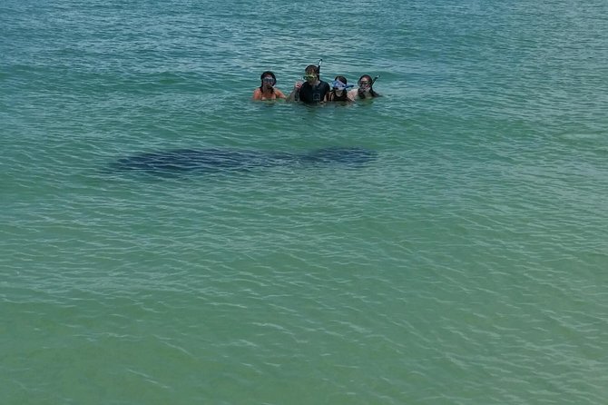 Small Group 2 Hour Dolphin Cruise with Snorkeling to Shell Key - Two hours is enough for a sample, not a full day