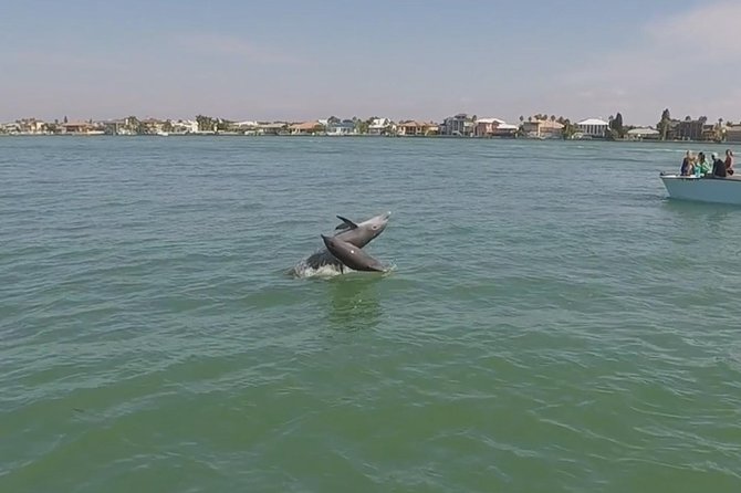 Small Group 2 Hour Dolphin Cruise with Snorkeling to Shell Key - What the $75 price really includes