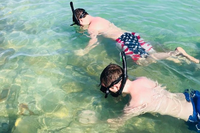 Small Group 2 Hour Dolphin Cruise with Snorkeling to Shell Key - Shell Key offers sand, shells, and shallow water
