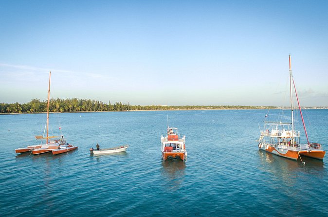Small-Group Cruising and Snorkeling Catamaran Tour - The Slide, High Board, and Paddleboard
