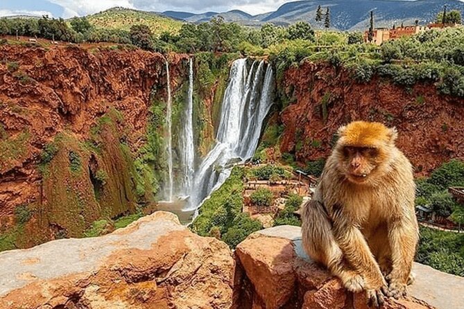Small group Ouzoud Waterfall Guided Tour Boat Ride from Marrakech - Leaving Marrakech at 8:00 in the morning