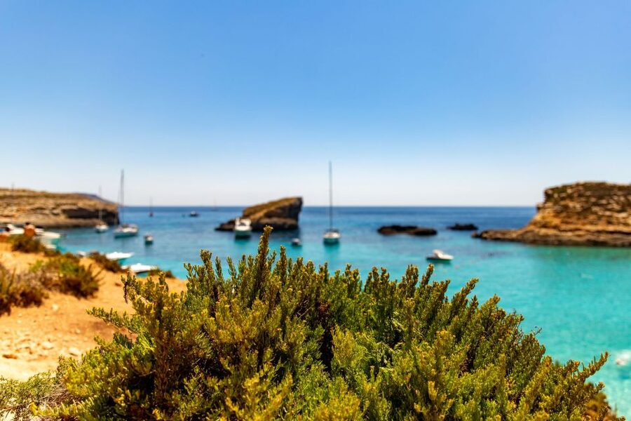 St Paul's Bay: Comino, Blue Lagoon, Gozo, & Caves Boat Tour - Crew, boat size, and atmosphere