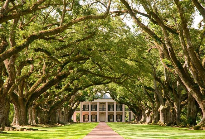 Swamp Boat Ride and Oak Alley Plantation Tour from New Orleans - Who should book this tour?