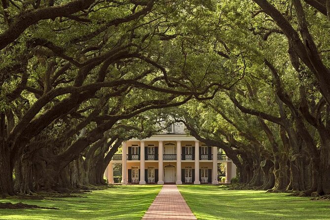 Swamp Boat Ride and Oak Alley Plantation Tour from New Orleans - Final verdict on the Oak Alley and swamp tour