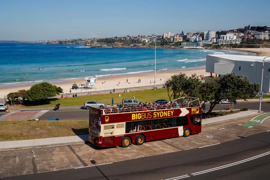Sydney: Big Bus Hop-On Hop-Off Tour with Optional Cruise - The Blue Bondi Tour and Australia’s beach culture