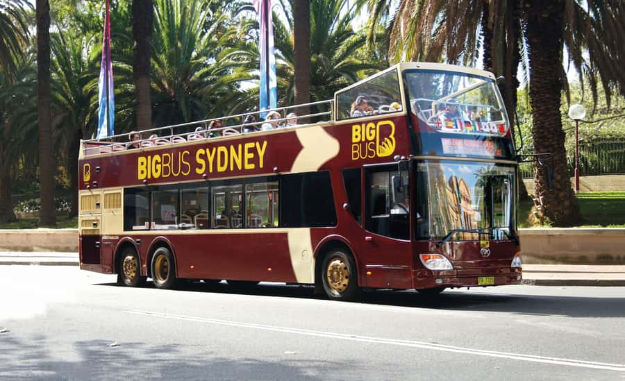 Sydney: Big Bus Hop-On Hop-Off Tour with Optional Cruise - Is $51 good value?