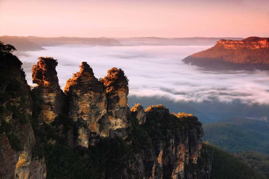 Sydney: Blue Mountains National Park Tour with River Cruise - Sydney Zoo: a useful optional first stop