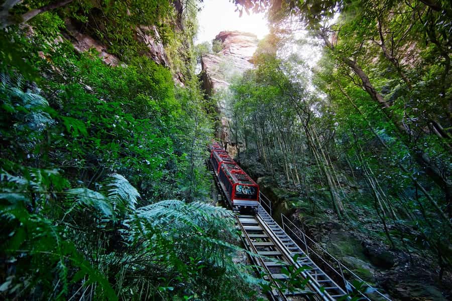 Sydney: Blue Mountains National Park Tour with River Cruise - Three Sisters and Aboriginal stories