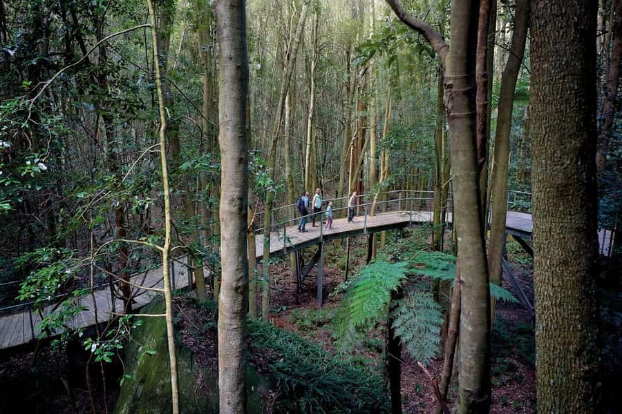 Sydney: Blue Mountains National Park Tour with River Cruise - The river cruise back through Sydney