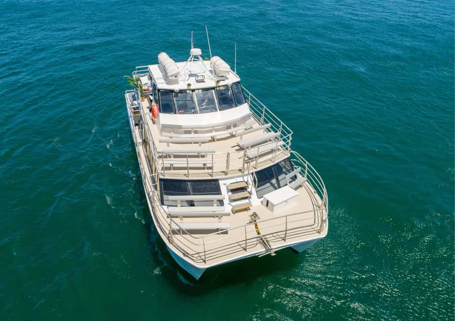 Sydney: Whale Watching Adventure Cruise - Key points at a glance