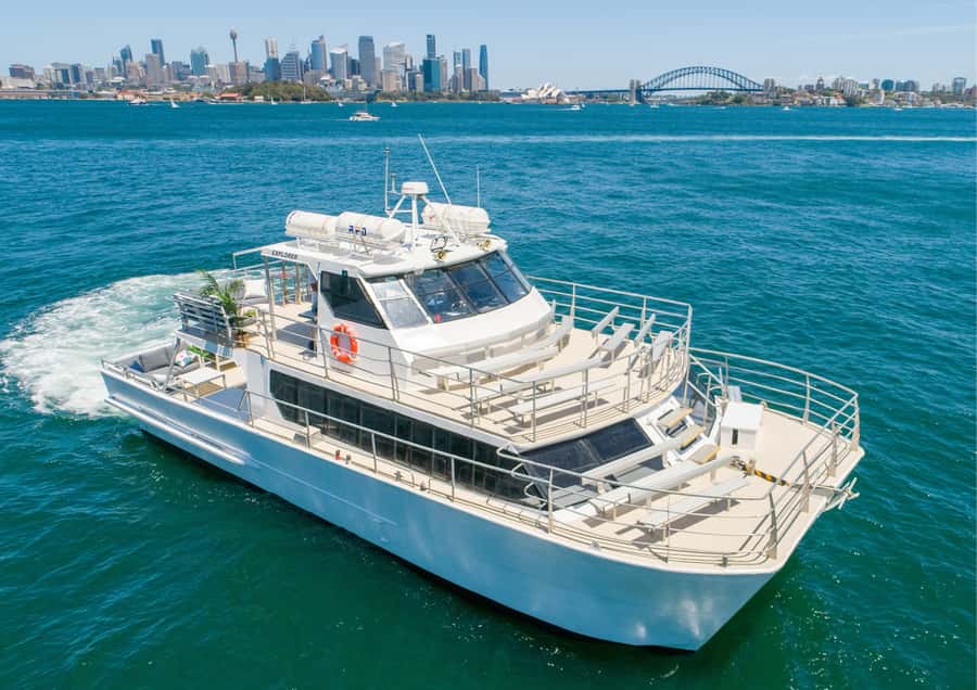 Sydney: Whale Watching Adventure Cruise - Setting out from Circular Quay