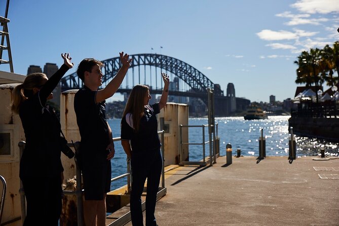 Sydney Whale-Watching Cruise Including Lunch or Breakfast - The whale-watching portion from May to November