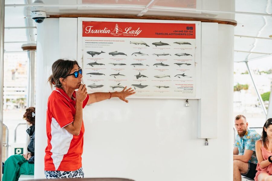 Tenerife: Eco-Yacht Whale and Dolphin Watching and Swimming - Why this Los Cristianos whale trip is different