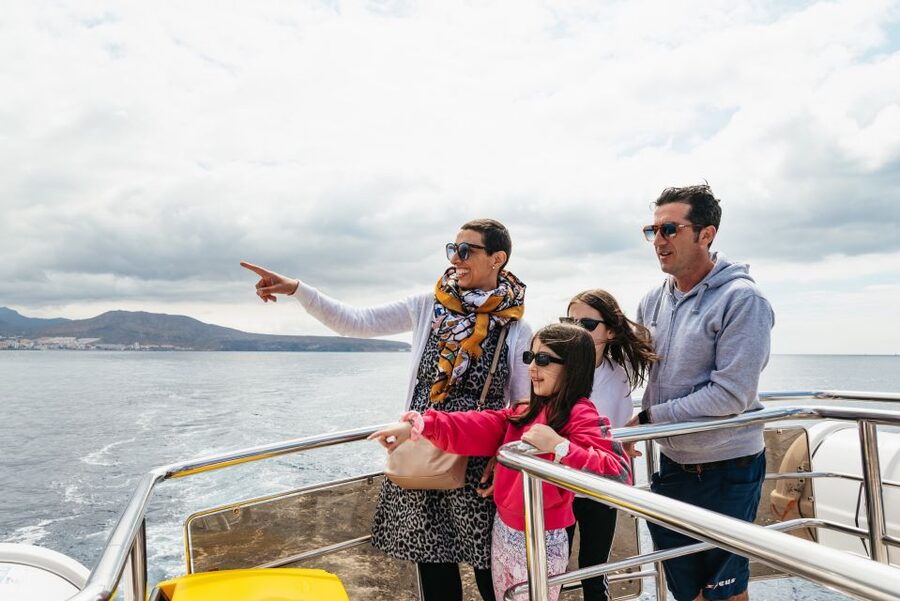 Tenerife: Eco-Yacht Whale and Dolphin Watching and Swimming - The 15-minute swimming and snorkeling break