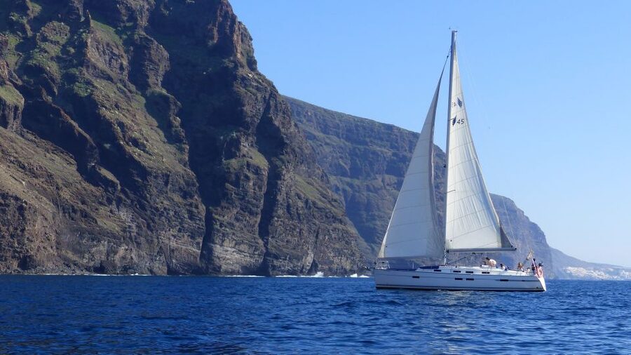Tenerife: Los Gigantes Whale Watching Cruise by Sail Boat - Key points to know before you book