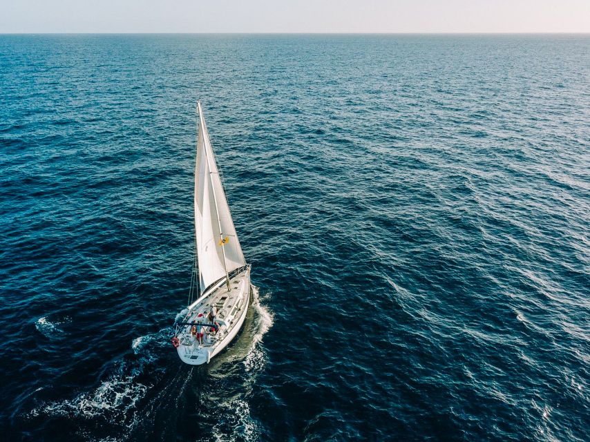Tenerife: Sailboat Tour Whale Watching Food and Snorkeling - Watching pilot whales along Tenerife’s south coast