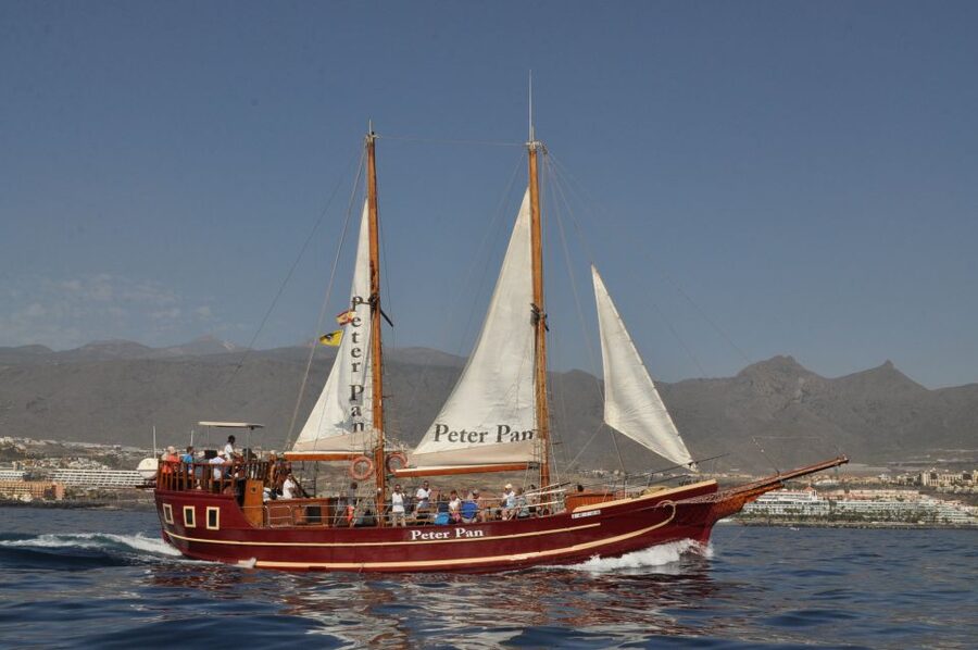 Tenerife: Whale & Dolphin Watching Cruise with Swim Stop - Practical tips for a smoother outing