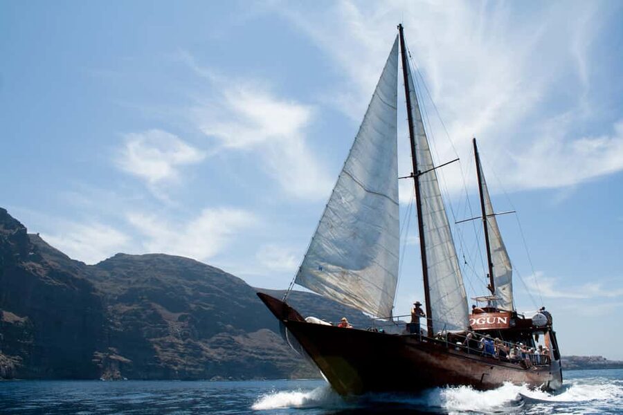Tenerife: Whale & Dolphin Watching Cruise with Swim Stop - Is $29 good value for this Tenerife boat trip?