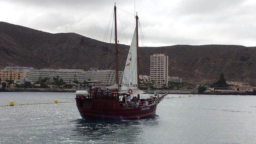 Tenerife: Whale & Dolphin Watching Cruise with Swim Stop - Two hours in Tenerife’s whale and dolphin habitat