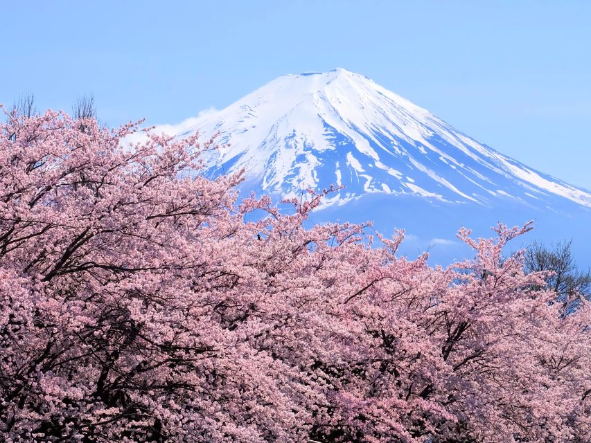 Tokyo: Mt. Fuji 5th Station & Hakone Cruise 1-Day Bus Tour - Starting in central Tokyo