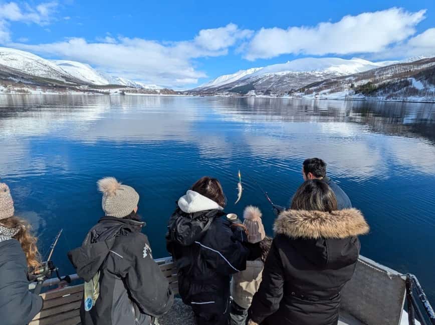 Tromsø: Arctic Fjord Cruise & Fishing Experience - Why this Tromsø cruise feels different from a standard fjord tour