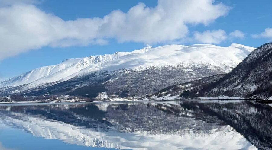 Tromsø: Arctic Fjord Cruise & Fishing Experience - Sailing toward Ryøya and the Arctic coast