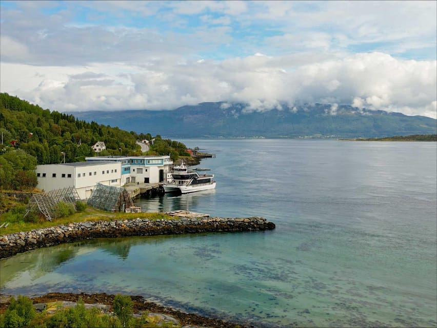 Tromsø: Arctic Fjord Cruise With Stop On Land At Fish Racks - Who should book this cruise?