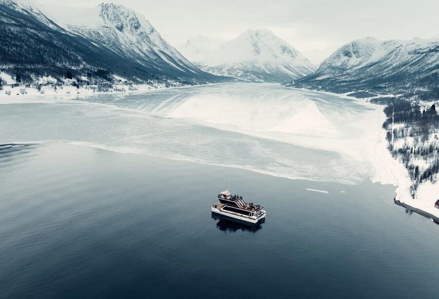 Tromsø: Arctic Fjord Cruise With Stop On Land At Fish Racks - Wildlife above and below the water