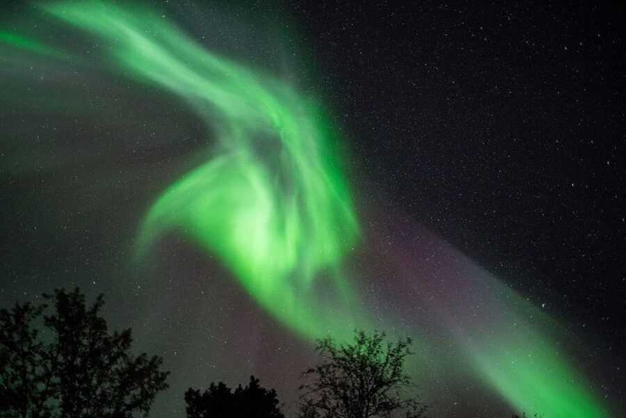 Tromsø: Evening Aurora Cruise (dinner optional) - Key points to know before you book