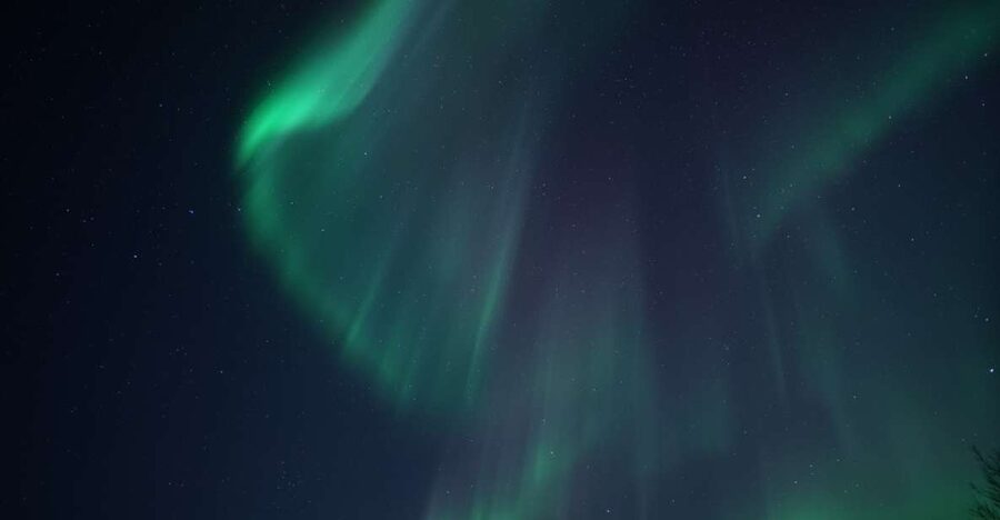 Tromsø: Evening Aurora Cruise (dinner optional) - Leaving at 8 p.m. for the Arctic sea