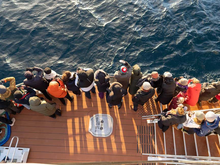 Tromsø: Whale Watching Tour by Hybrid-Electric Boat - Reaching the feeding grounds near Skjervøy