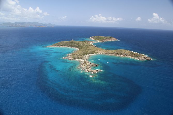 Turtle Cove Catamaran Snorkel and Sail at Little Buck Island STT - Turtle Cove snorkeling and the green sea turtles