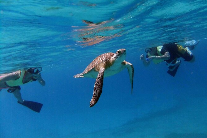 Turtle Cove Catamaran Snorkel and Sail at Little Buck Island STT - Sailing toward Little Buck Island