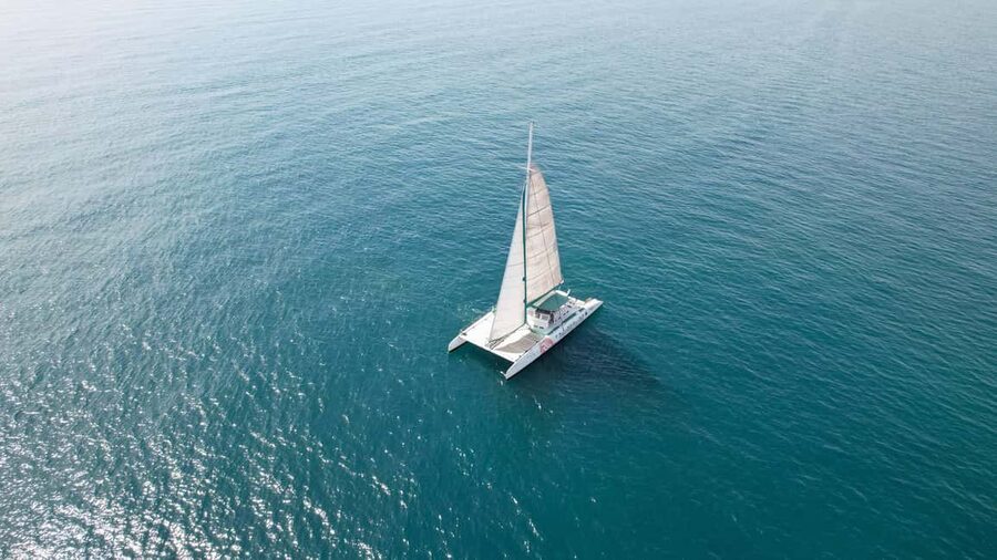 Valencia: Sailing Catamaran with Swimming & Optional DJ - What this Valencia catamaran trip is really like