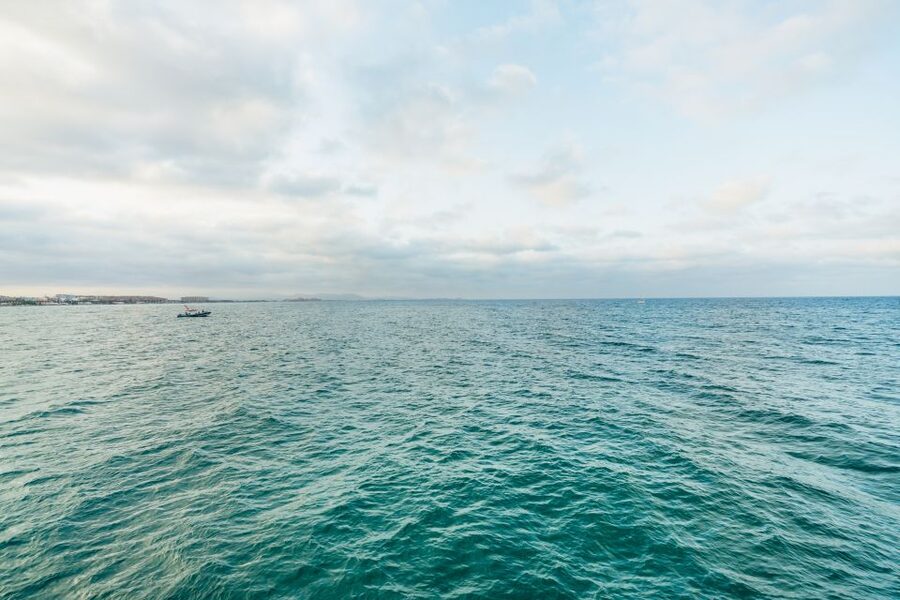 Valencia: Sunset or Daytime Catamaran Cruise with Drink - Who should book the Boramar catamaran cruise?