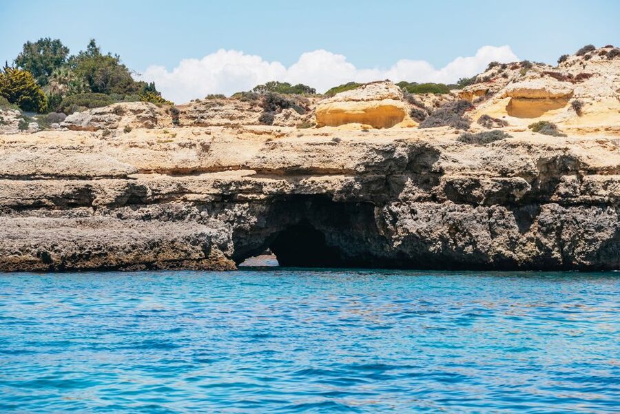 Vilamoura: Benagil Cave Boat Tour with Entry&Dolphin search - The dolphin search on the return trip