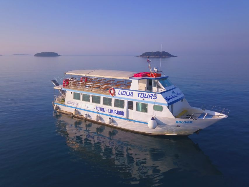 Vrsar: Dolphin Watching Boat Tour including Drinks - Key points to know before sailing