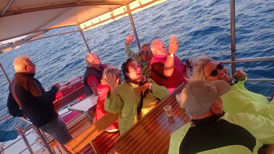 Vrsar: Dolphin Watching Boat Tour including Drinks - Who should book this Vrsar cruise?