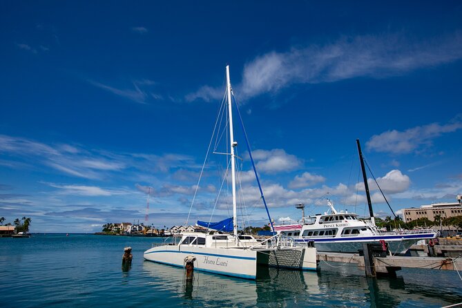 Waikiki Catamaran Snorkel Sail with Lunch: Turtles Guaranteed - Is $134.95 a fair price?