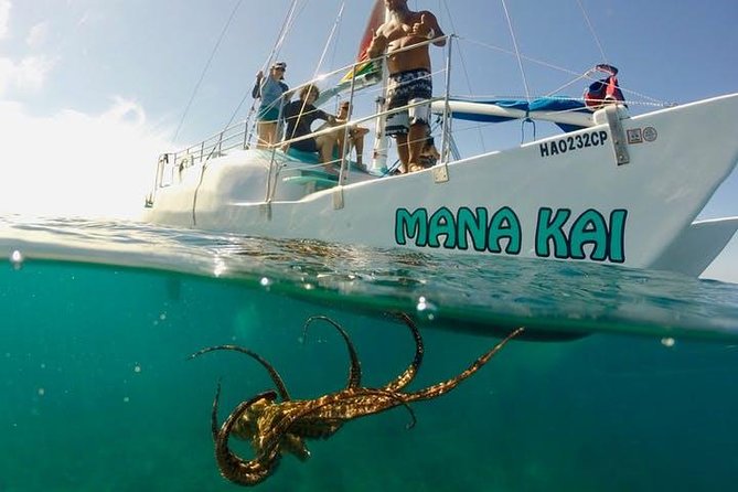 Waikiki Turtle Snorkel and Sail on Hawea Catamaran - From the Duke Kahanamoku statue to open water