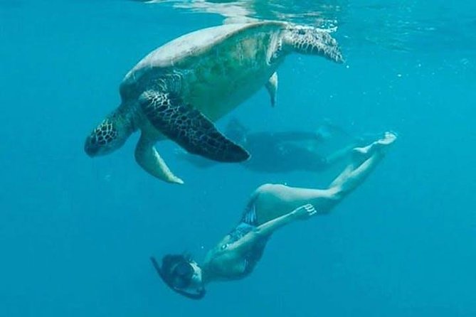 Waikiki Turtle Snorkel and Sail on Hawea Catamaran - What the snorkeling feels like
