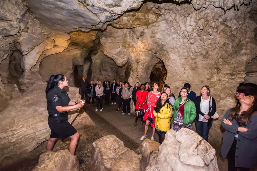 Waitomo: Glowworm Caves Guided Tour by Boat - The Cathedral Cave and its remarkable sound