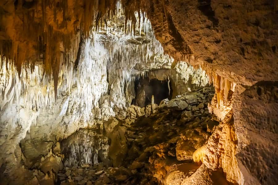 Waitomo: Glowworm Caves Guided Tour by Boat - What you pay for at $48