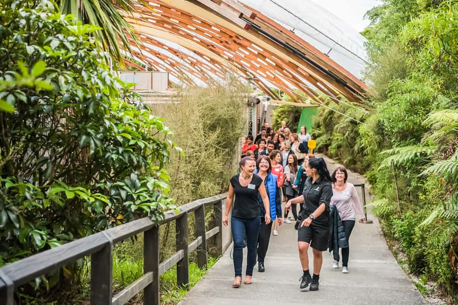 Waitomo: Glowworm Caves Guided Tour by Boat - Practical details before you go