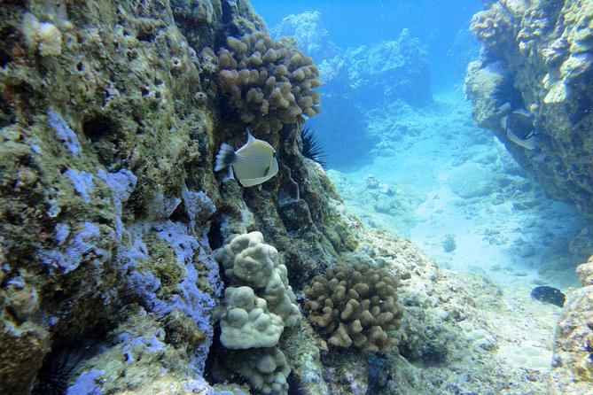 West Maui Snorkeling Experience by Boat from Ka'anapali - Setting out from Ka’anapali Beach at 9:00 a.m.
