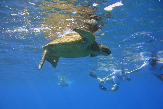 West Maui Snorkeling Experience by Boat from Ka'anapali - Why the small group changes the snorkeling