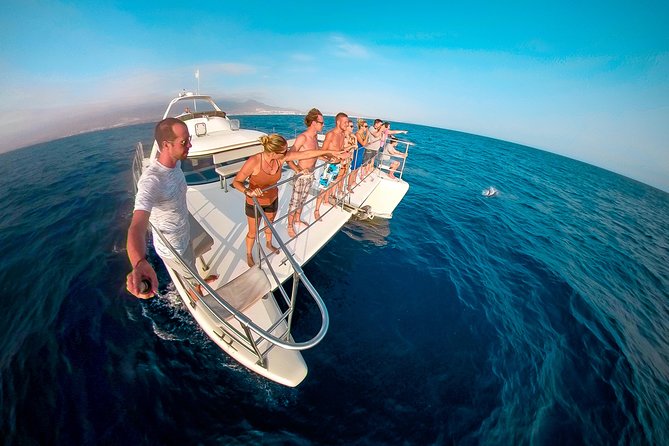 Whale and Dolphin Watching Catamaran with Transfer and Buffet - The search for pilot whales and dolphins