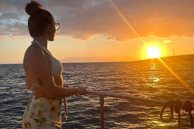 Whale and Dolphin Watching Catamaran with Transfer and Buffet - Is $71.35 good value?