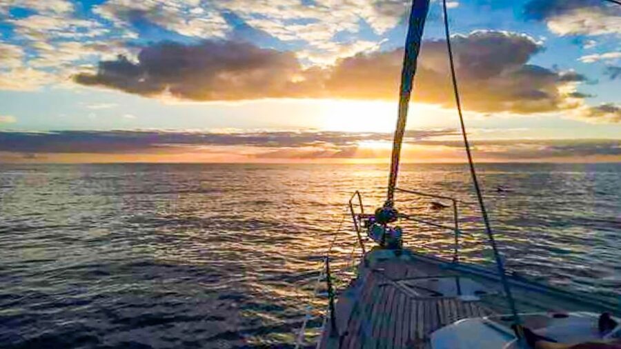 Whale and Dolphin Watching Sailing Tour – Los Gigantes (3H) - Booking details worth knowing