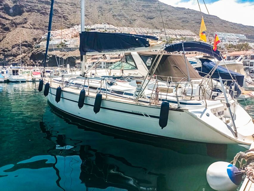 Whale and Dolphin Watching Sailing Tour – Los Gigantes (3H) - What the three-hour timing really gives you